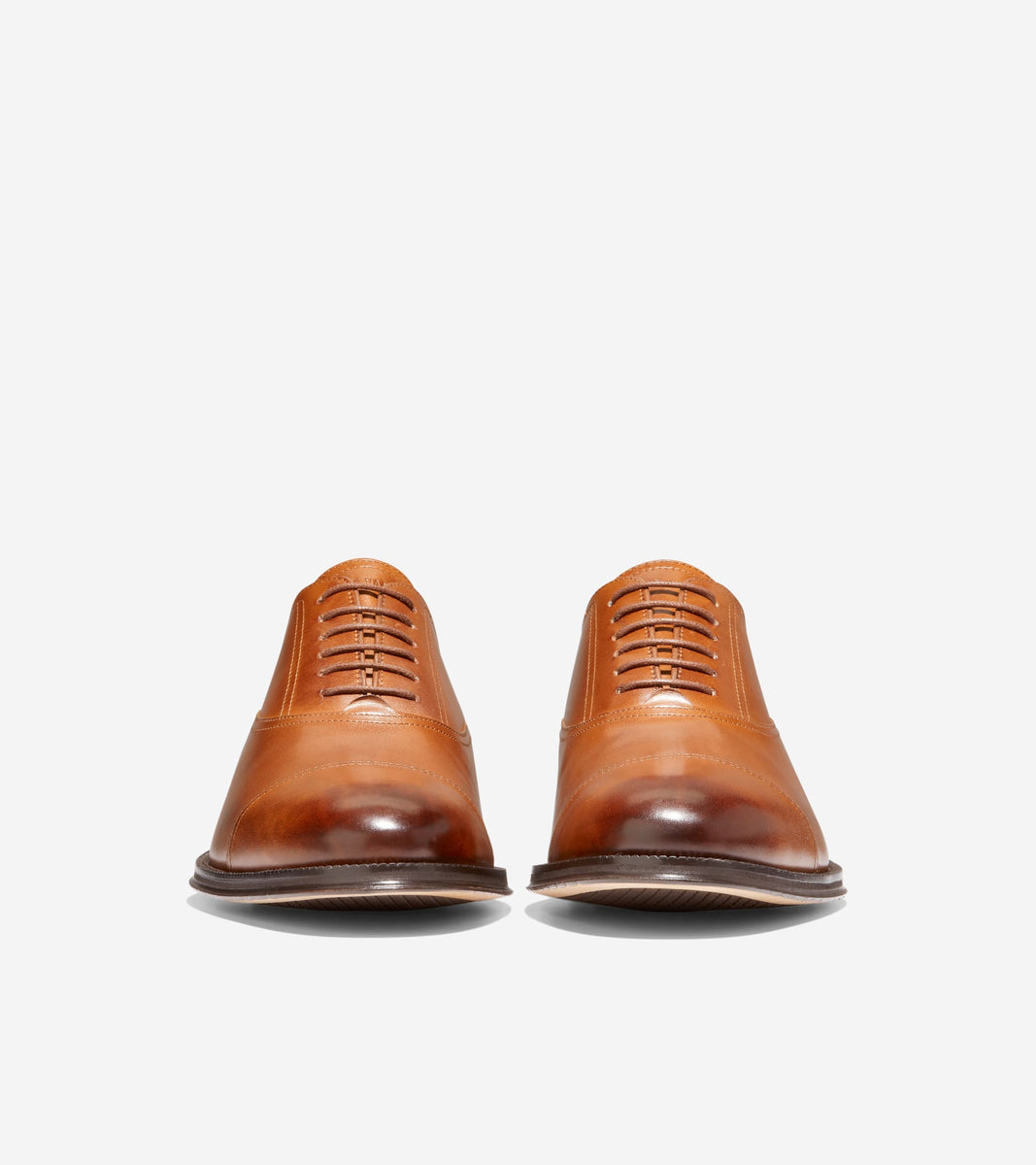 C38760:CH BRITISH TAN/CH DARK CHOCOLATE