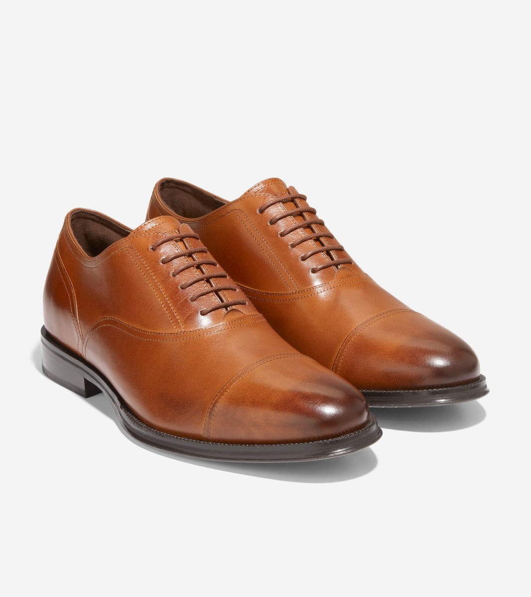 C38760:CH BRITISH TAN/CH DARK CHOCOLATE